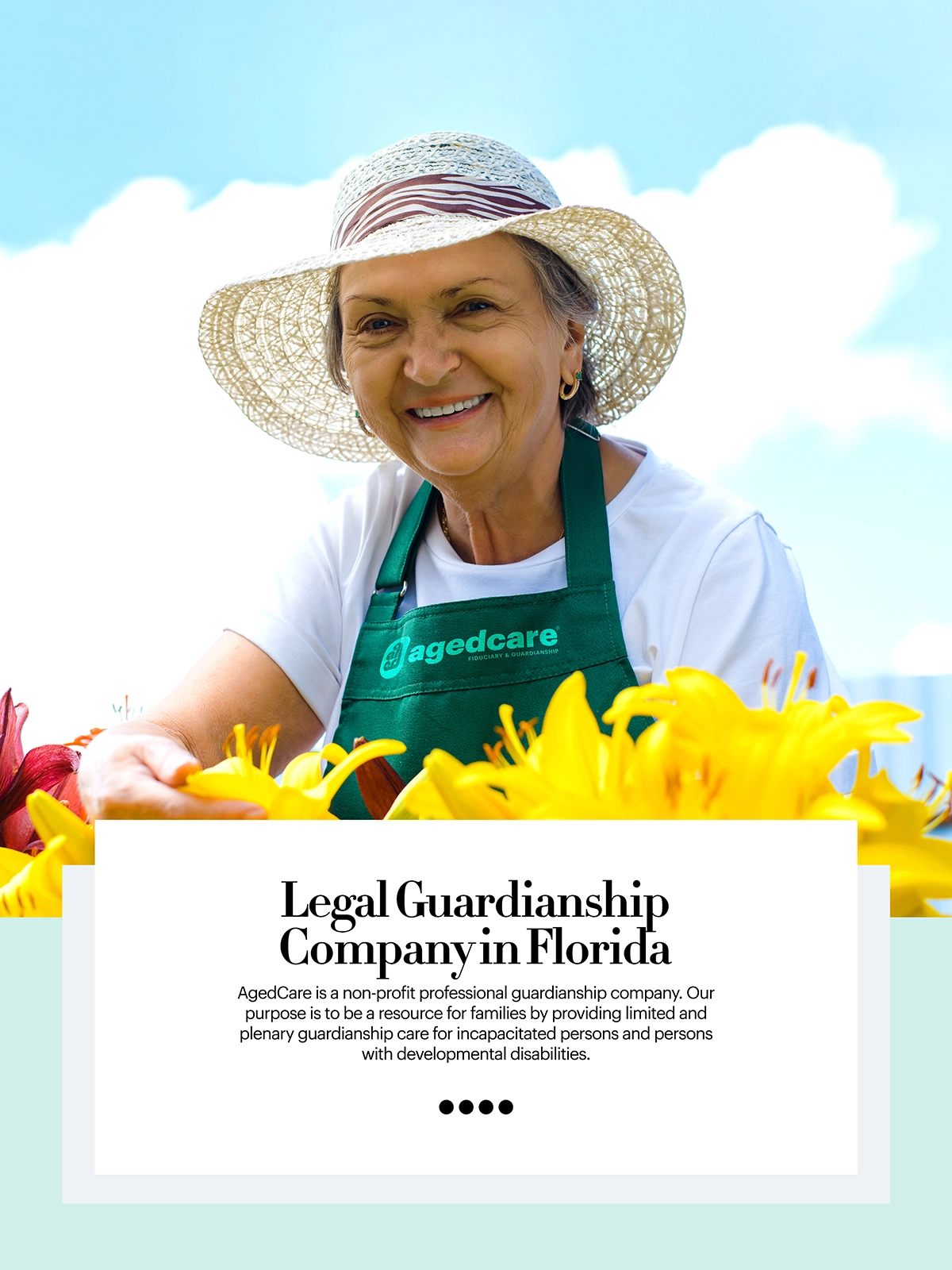 AgedCare Guardian